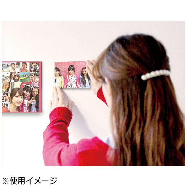 �ٻΥե����(FUJIFILM) ���㥳��(shacolla) �ɥ����� 5��ѥå� L������ WDKABEALL5P