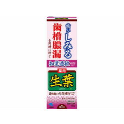 小林製薬 生葉知覚過敏症状予防タイプ 100g〔歯磨き粉〕