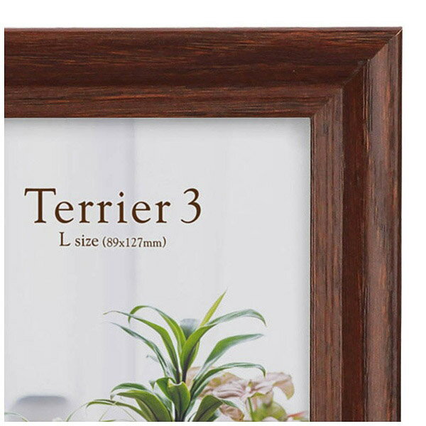 �ϥ��� �ե��ȥե졼�� �ƥꥢ3 �ʥ֥饦���L 1�� FWTR3BRL1 FWTR3BRL1