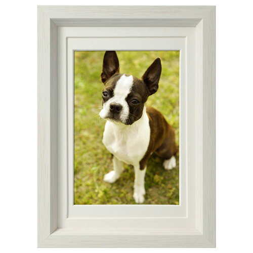 CHULULU Chululu(チュルル) フォトフレーム P01 ホワイト FCHL-P01WT ホワイト FCHLP01WT [3]