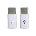 GROOVY USB変換アダプタx2 [USB-C オス→メス micro USB /充電 /転送 /USB2.0] ホワイト CAD-P2W CADP2W その1