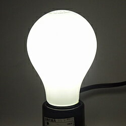 General Light Bulbs - 東京メタル LED電球 （一般電球形・全光束485lm／昼白色相当・口金E26）　LDA4NWG40W-TM LDA4NWG40WTM