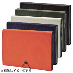 リヒトラブ [ファイル] SMART FIT ドキュメントファイル (色：ネイビー、サイズ：A4) A-7620-11 A762011