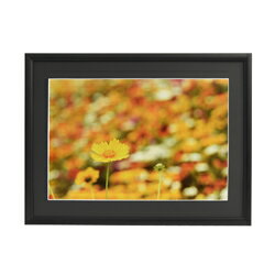 フジカラー アルミ額縁 A33 A4 ブラック