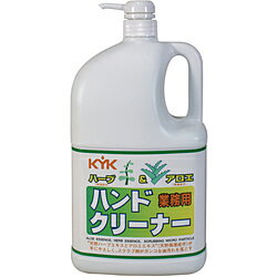 古河薬品工業 KYK ハーブ&アロエ ハンドクリーナー2L(1本) 35-021 35021