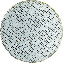 フィッシャージャパン フィッシャー　フィックスイット 92507 92507