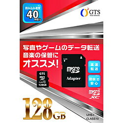 GTS microSDXCJ[h GTS GSMS128PAD [128GB /Class10] GSMS128PAD [Us]