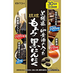 井藤漢方製薬 琉球もろみ黒にんにく 90粒