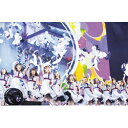 ソニーミュージックマーケティング 乃木坂46 / 真夏の全国ツアー2017 FINAL！ IN TOKYO DOME 完全生産限定盤 DVD 振込不可