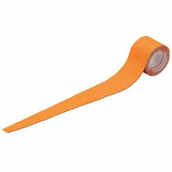 �ȥ饹���滳 ����åץ��ȥåѡ������꡼��TGP970GN TGP970GN