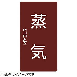 Rakuten - トラスコ中山 配管用ステッカー 蒸気 縦 小 5枚入 TPSSTTS TPSSTTS