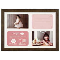 ハクバ リエージュ プレジール A4多面 ブラウン FWLGP-BRA4T ブラウン FWLGPBRA4T