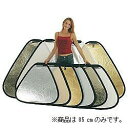 ラストライト トライグリップ 75cm(折畳時30cm)サンライト/ソフトシルバー LR3628
