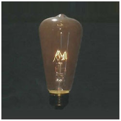 このランプはエジソンランプのガラスを使い通常のフィラメントを使った電球です。このランプはエジソンランプのガラスを使い通常のフィラメントを使った電球です。