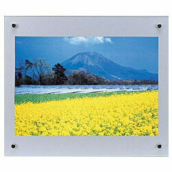 フジカラー プロフレーム （デジタルA4） シルバー