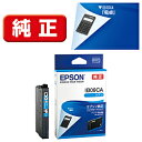 EPSON(エプソン) 【純正】 IB09CA 純正プリンターインク シアン標準インク IB09CA