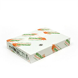 B5 Size Paper - 紀州製紙 “NEWファインカラー” ライトブルー（B5サイズ・500枚）