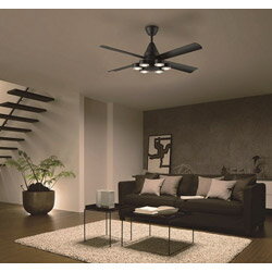 大光電機 DCモーターシーリングファン ASL-615 [リモコン付き /8畳 /電球色] ASL615