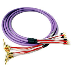 ORB INNOVA TS7 BYS2.5 INNOVA TS7 BYS2.5 ���ԡ����������֥� �� INNOVATS7BYS2.5