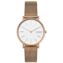 SKAGEN JWAEIb`fB[X SKW2784 SKW2784