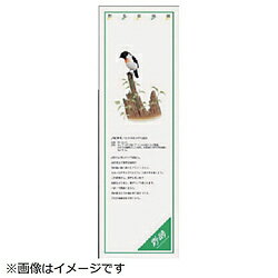 ユニット ユニット　シールギャラリー　ノビタキ　PVCステッカー　1000×320 91643