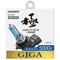 �����ᥤ�� BD629N �����֥롼�ץ饹5000K HB4/3 BD629N