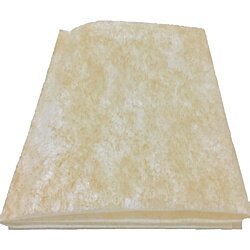 ダイアンサービス ダイアン・サービス エアークエストグリーン 38×80 2枚入 AQG1-01-02 AQG10102