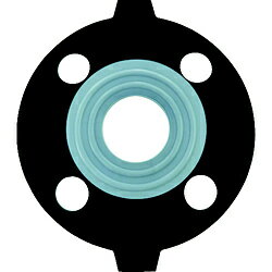 積水化学工業 エスロン　PTFE（テフロン）パッキン　30A　JIS10K PP30 PP30