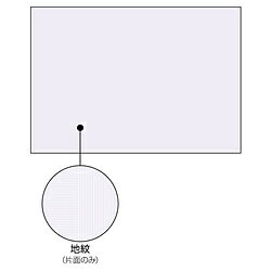 ヒサゴ 〔各種プリンタ〕マルチプリンタ帳票 コピー偽造予防用紙 浮き文字タイプ 片面 0.08mm [A3 /600枚] BP2111Z BP2111Z