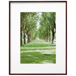 ハクバ ZEROフレーム G-01 A4 ブラウン　FZG01A4BR FZG01A4BR