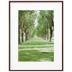 ハクバ ZEROフレーム G-01 A3 ブラウン　FZG01A3BR FZG01A3BR