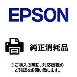 EPSON(ץ) ̥٥ץ󥿡ѻ̥٥ ٥2 [100mmx30m /1] ZG2K100 ZG2K100