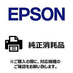 EPSON(ץ) ̥٥ץ󥿡ѻͥåȥ٥ ٥2 [530(72x51mm) /1] DG2K072051 DG2K072051