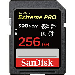 SanDisk(TfBXN) SDXCJ[h ExtremePROiGNXg[vj SDSDXDK-256G-JNJIP mClass10 /256GBn SDSDXDK256GJNJIP