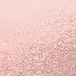 トーヨー おりがみ 24cm（50枚） 単色おりがみ 銅 75161 075161