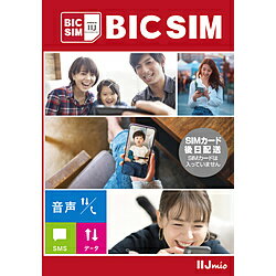 IIJ 【無料Wi-Fi付】BIC SIM ギガプランパッケ