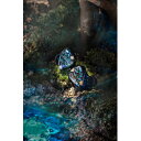 KINERAIMPERIAL イヤホン カナル型 Skuld SKULD(2)