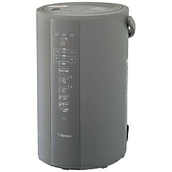 ZOJIRUSHI(象印マホービン) 加湿器 グレー EE-DC50 ［スチーム式］ EEDC50