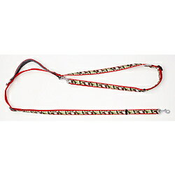 �ڥƥ��� EthicalDoor���������꡼���º̥�å�