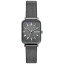 SKAGEN SKAGEN SKW3000 SKW3000