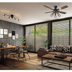 大光電機 LEDシーリングファン ASL-516 ［リモコン付き］ ASL516