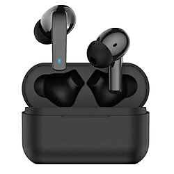 カシムラ 完全ワイヤレスイヤホン BL-113 ［ワイヤレス(左右分離) /ノイズキャンセリング対応 /Bluetooth対応］ BL113