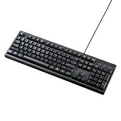 Rakuten - SANWA SUPPLY(サンワサプライ) キーボード (英語配列・Windows11対応) ブラック SKB-E5PBK ［有線 /PS/2］ SKBE5PBK
