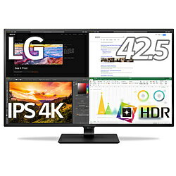 LG(エルジー) USB-C接続 PCモニター 43UN700-BAJP ［42.5型 /4K(3840×2160） /ワイド］ 43UN700BAJP