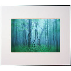 KenkoTokina(ケンコー・トキナー) ギャラリー A3 シルバー AGY-A3-SV AGY-A3-SV AGYA3SV