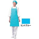 ワコウ アイメッシュエプロン 首掛けタイプ E5200 11ミントブルー <SEPB802> SEPB802 【852】