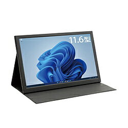 ITPROTECH USB-C³ PC˥ LCD11HCR-IPS 11.6 /եHD(19201080) /磻ɡ LCD11HCRIPS 864 [Բ]