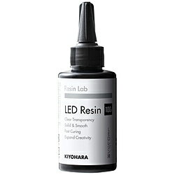 清原 LEDレジン液（100g） RLR100
