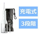 ソニッケア コードレスパワーフロッサー3000(口腔洗浄器) Sonicare(ソニッケアー) ホワイト HX3826/31 [ハンディタイプ /国内・海外兼用...