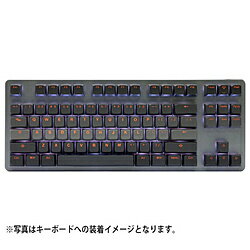 TAIHAO 〔キーキャップ〕 US配列用 100キー BOBO Profile Backlit PBT Doubleshot Smoky Dawn th-bobo-smokey-dawn-keycap-set BOBOSMOKEYDAWNKS